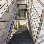 فيلة Callera